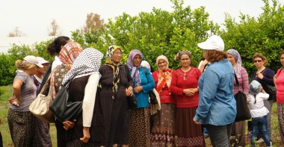 Çiftçi Eğitim Çalışmalarına Devam Ediliyor 