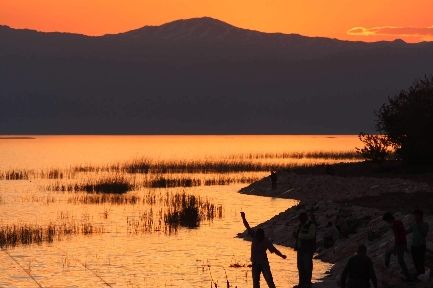 Oltaya Levrek Yerine Sazan Geliyor 