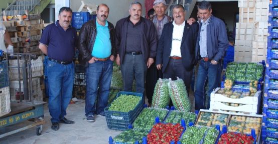 Rusya'ya Çilek Ve Domates İhracatı Başladı 