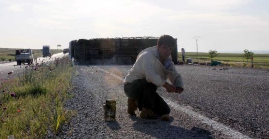 Şoför Mahalline Giren Arı Kamyonu Devirdi 