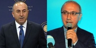 ÇAVUŞOĞLU VE ELVAN YENİDEN VEKİL OLUYOR