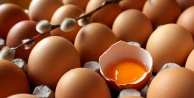 YUMURTADA DEVRİM NİTELİĞİNDE KARAR