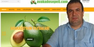 ALANYA AVAKADOSUNA SANAL TANITIM