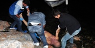 İSKELEDE BULUNAN CESEDİN KİMLİĞİ BELLİ OLDU