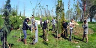 81 İLİN SEMBOL AĞAÇLARI EXPO'DA BULUŞTU
