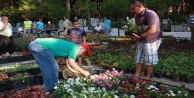 ALANYA BELEDİYESİ, MEZARLIKLARDA ÇİÇEK DAĞITIYOR