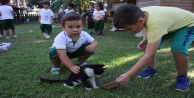 Miniklerden kedi parkına ziyaret