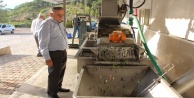Sezonun ilk zeytinleri yağa dönüştü