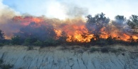 Ağaçlar yanıyor diye kendini ateşe attı
