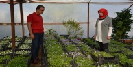 Büyükşehir Alanya’da  çiçeğini kendi üretiyor