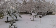 Mevsimin ilk karı yağdı