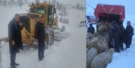 Karda mahsur kalan 100 koyun kurtarıldı