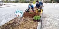 Mahmutlar Mahallesi çiçeklerle süslenecek