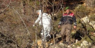 Parçalanmış erkek cesedi bulundu