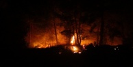 İki ayrı orman yangını