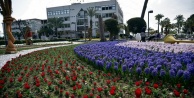 Alanya'da lale ve sümbül devri