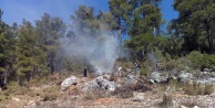 Alanya'da orman yangını panik yarattı
