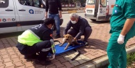 Büyükşehir’den yaralı hayvanlara ambulansla müdahale