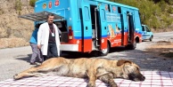 Mobil klinik aracıyla hizmet ayağmıza geliyor