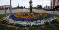 Şehir çiçeklerle donatıldı