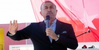 Çavuşoğlu'ndan AGİT temsilcisine sert tepki