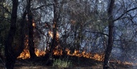 Orman yangını büyük panik yarattı