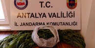 Alanya'da şok uyuşturucu operasyonu