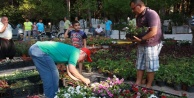 Alanya Belediyesi ücretsiz çiçek dağıtıyor