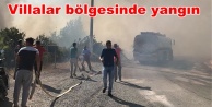 Alanya'da bir yangın daha