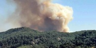 Antalya'da yangınlar durmuyor: Bir orman yangını daha