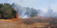 Çalılık alanda yangın: Müdahale devam ediyor
