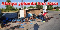 Meyve yüklü kamyonet devrildi