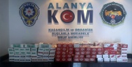 Alanya polisinden 'Makaron' operasyonu