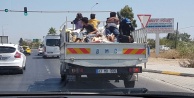 Çocukların kamyonet üzerinde tehlikeli yolculuğu