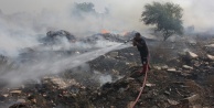 Çöp yangını palmiye ağaçlarını kül etti
