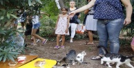 'Kedi katliamına’ site sakinlerinden tepki
