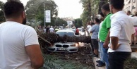 Sosyal medyadan 'devrilecek' diye uyardığı ağaç aracın üstüne düştü