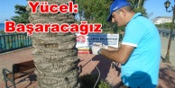 Alanya Belediyesi'nden ağaçlar için biyolojik mücadele