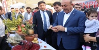 Bakan Çavuşoğlu: Bu narı tüm dünyaya tanıtmalıyız