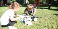 Miniklerden Kedi Parkı'na yoğun ilgi