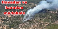 Panik! Alanya'da orman yangını