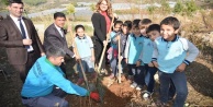 Emişbeleni zeytin fidanları ile buluştu