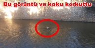 Oba Çayı'nda ceset paniği
