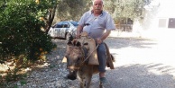 Eşekli muhtarın eşeği öldü