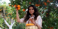 Portakal kabuklarına sanatsal dokunuş