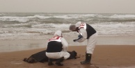 Teknesi alabora olan veteriner hekim cesedi kıyıya vurdu