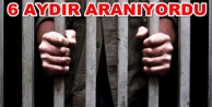 Alanya'daki cezaevi firarileri yakalandı