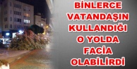 Fırtına Alanya'da ağacı kökünden söktü