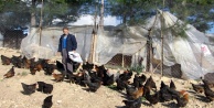 Son maaşı ile 100 tavuk alıp çiftlik kurdu, talebe yetişemiyor