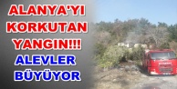 Alanya seferber oldu! Dimçayı'nda yangın!